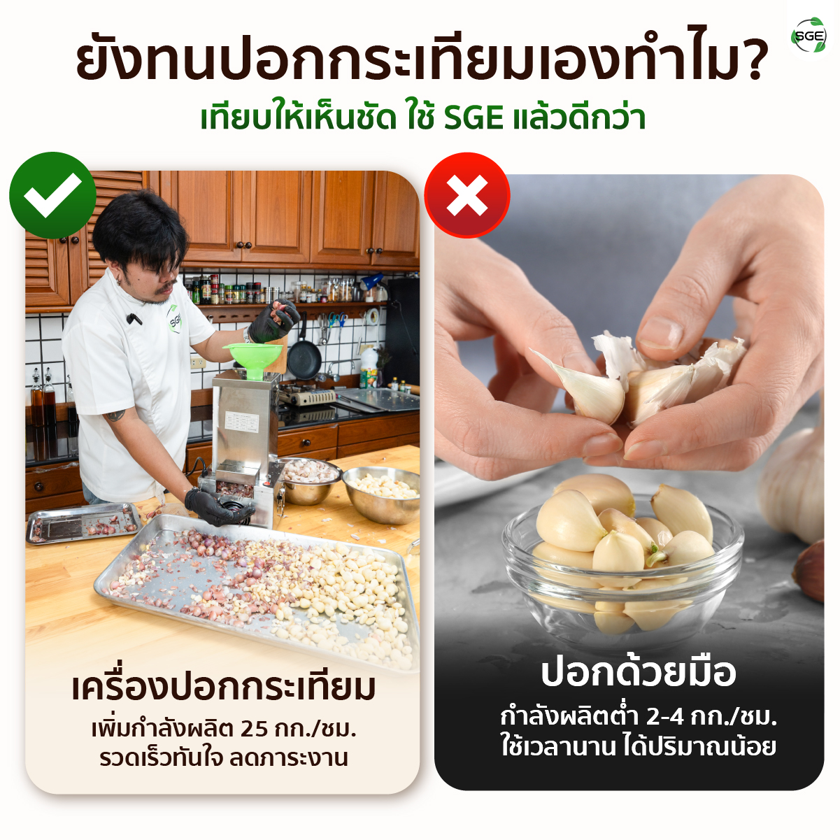 เครื่องปอกกระเทียม เครื่องแกะกระเทียม ปอกกลีบกระเทียม กำลังผลิต 25 กก./ชม. สามารถปอกได้ทั้งกระเทียมไทยและจีน SGE