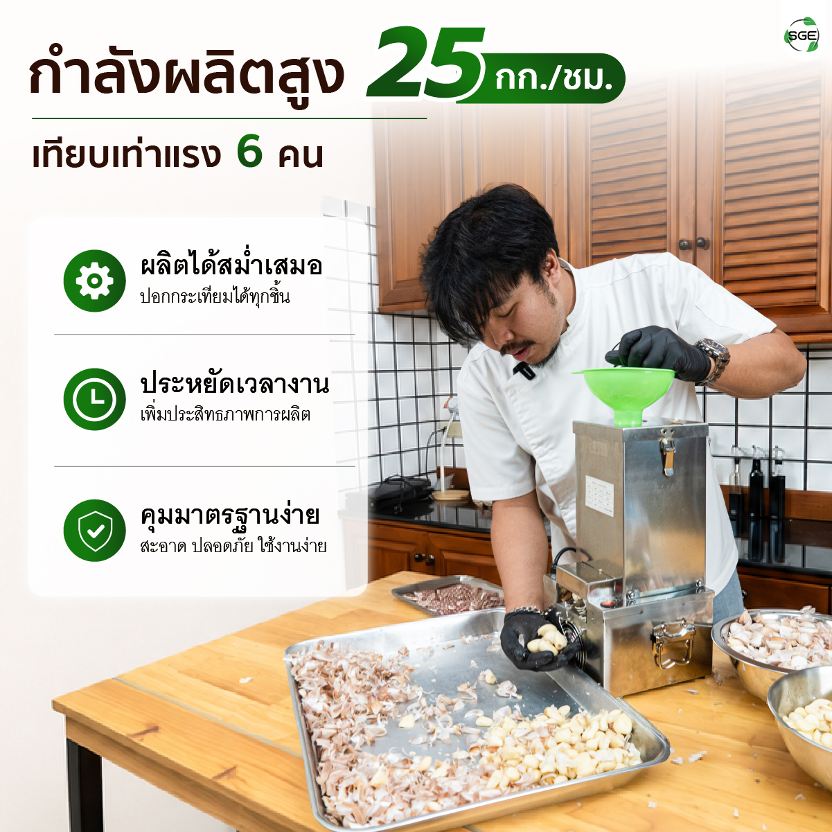 เครื่องปอกกระเทียม เครื่องแกะกระเทียม ปอกกลีบกระเทียม กำลังผลิต 25 กก./ชม. สามารถปอกได้ทั้งกระเทียมไทยและจีน SGE