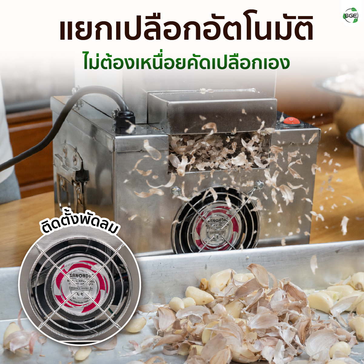 เครื่องปอกกระเทียม เครื่องแกะกระเทียม ปอกกลีบกระเทียม กำลังผลิต 25 กก./ชม. สามารถปอกได้ทั้งกระเทียมไทยและจีน SGE