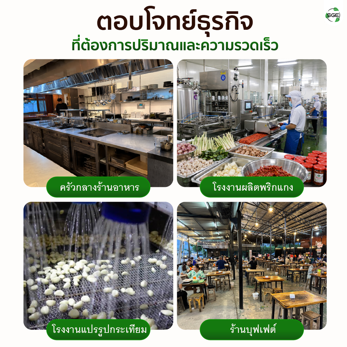 เครื่องปอกกระเทียม เครื่องแกะกระเทียม ปอกกลีบกระเทียม กำลังผลิต 25 กก./ชม. สามารถปอกได้ทั้งกระเทียมไทยและจีน SGE