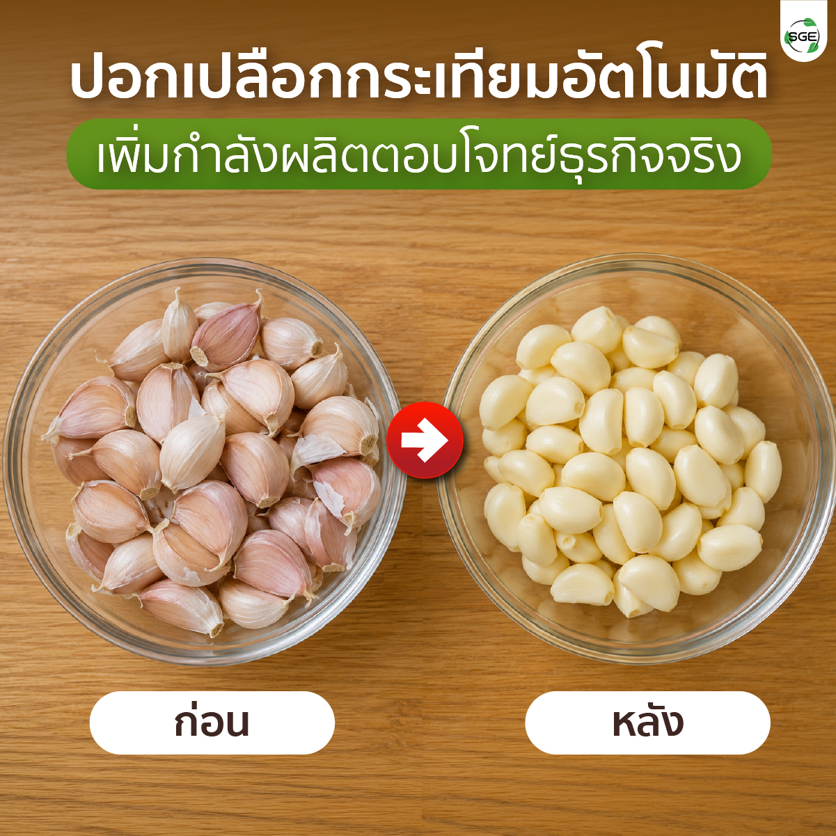 เครื่องปอกกระเทียม เครื่องแกะกระเทียม ปอกกลีบกระเทียม กำลังผลิต 25 กก./ชม. สามารถปอกได้ทั้งกระเทียมไทยและจีน SGE