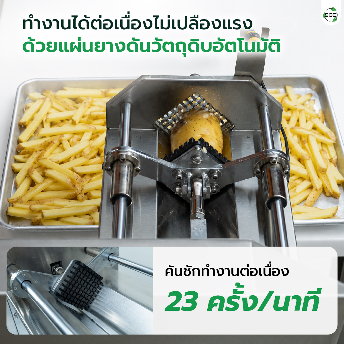 เครื่องหั่นผักอุตสาหกรรม เครื่องหั่นมันฝรั่ง SGE