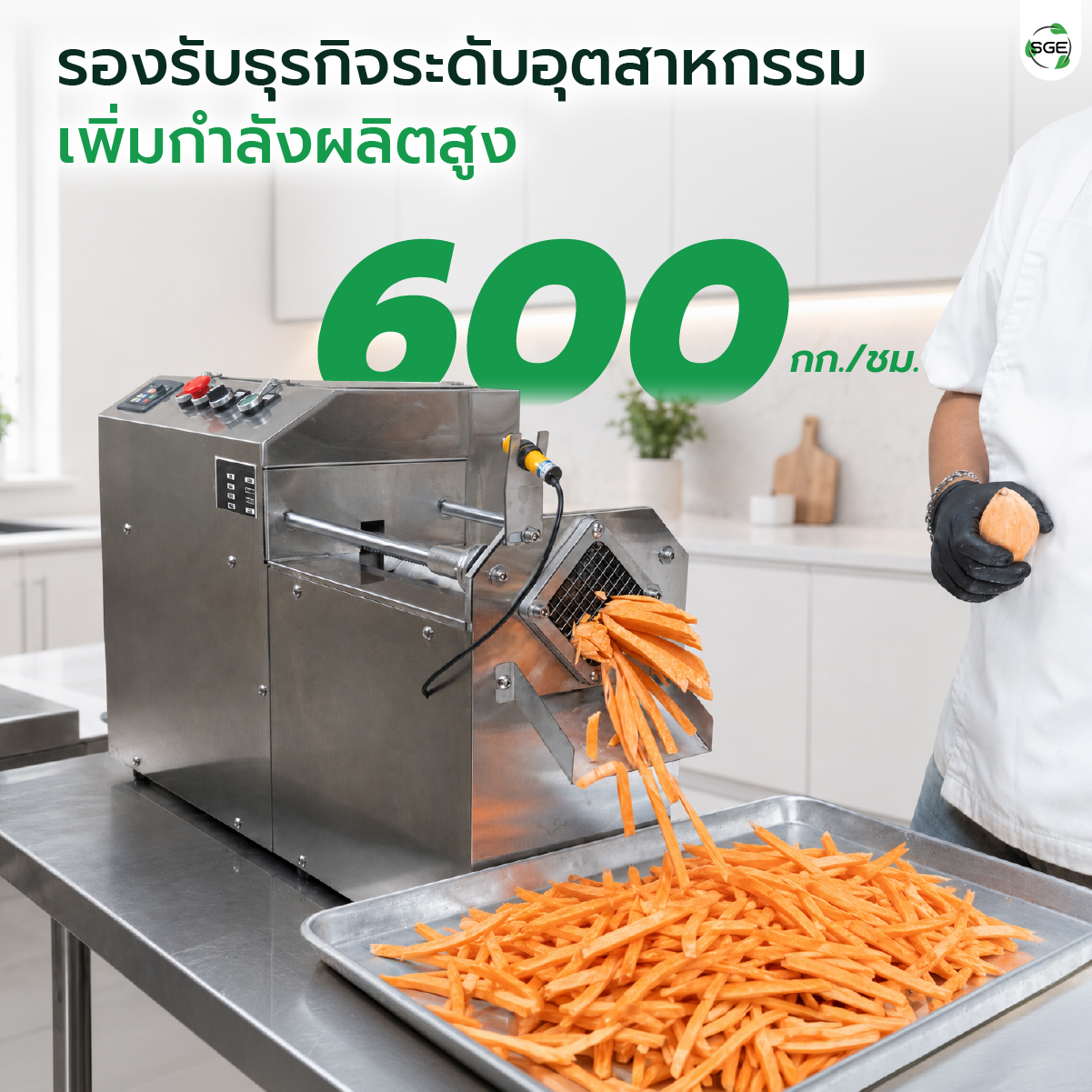 เครื่องหั่นผักอุตสาหกรรม เครื่องหั่นมันฝรั่ง SGE