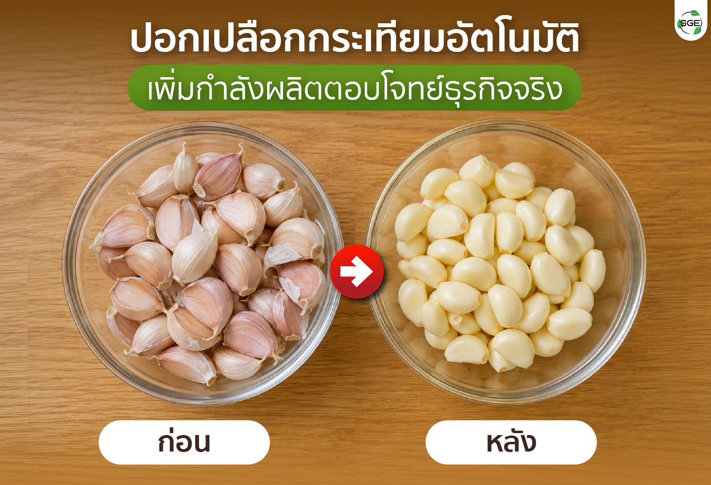 เครื่องปอกกระเทียม เครื่องแกะกระเทียม ปอกกลีบกระเทียม กำลังผลิต 25 กก./ชม. สามารถปอกได้ทั้งกระเทียมไทยและจีน SGE