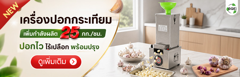 เครื่องปอกกระเทียม เครื่องแกะกระเทียม ปอกกลีบกระเทียม กำลังผลิต 25 กก./ชม. สามารถปอกได้ทั้งกระเทียมไทยและจีน SGE