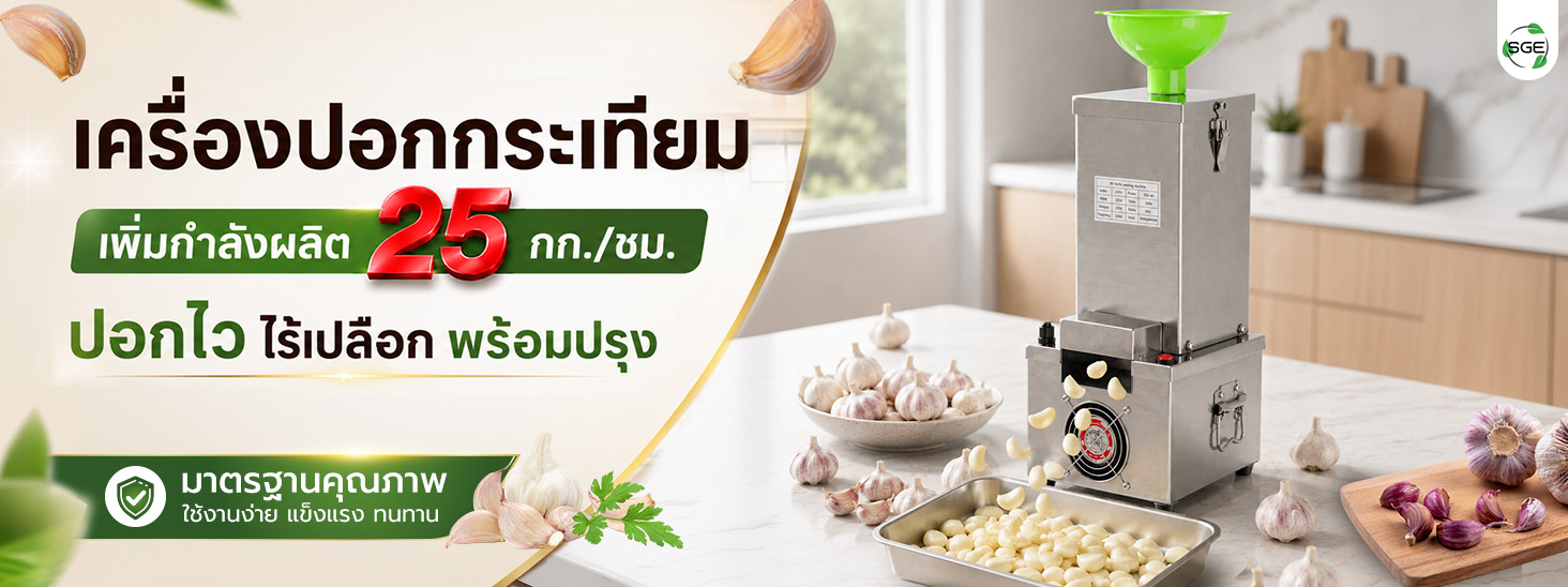 เครื่องปอกกระเทียม เครื่องแกะกระเทียม ปอกกลีบกระเทียม กำลังผลิต 25 กก./ชม. สามารถปอกได้ทั้งกระเทียมไทยและจีน SGE