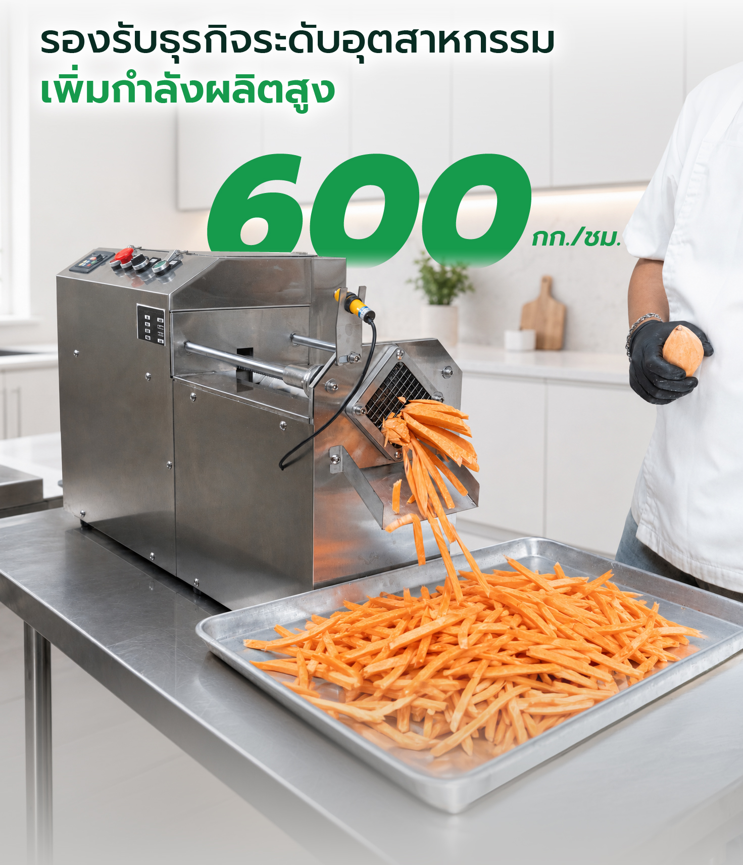 feture-VS-STICK-IND-PC-02-100 เครื่องหั่นผักอุตสาหกรรม เครื่องหั่นมันฝรั่ง SGE