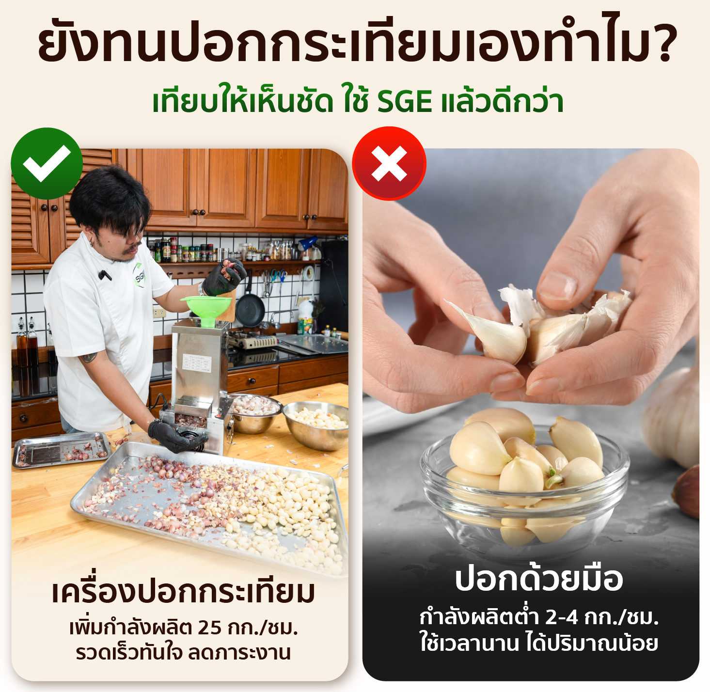 เครื่องปอกกระเทียม เครื่องแกะกระเทียม ปอกกลีบกระเทียม กำลังผลิต 25 กก./ชม. สามารถปอกได้ทั้งกระเทียมไทยและจีน SGE