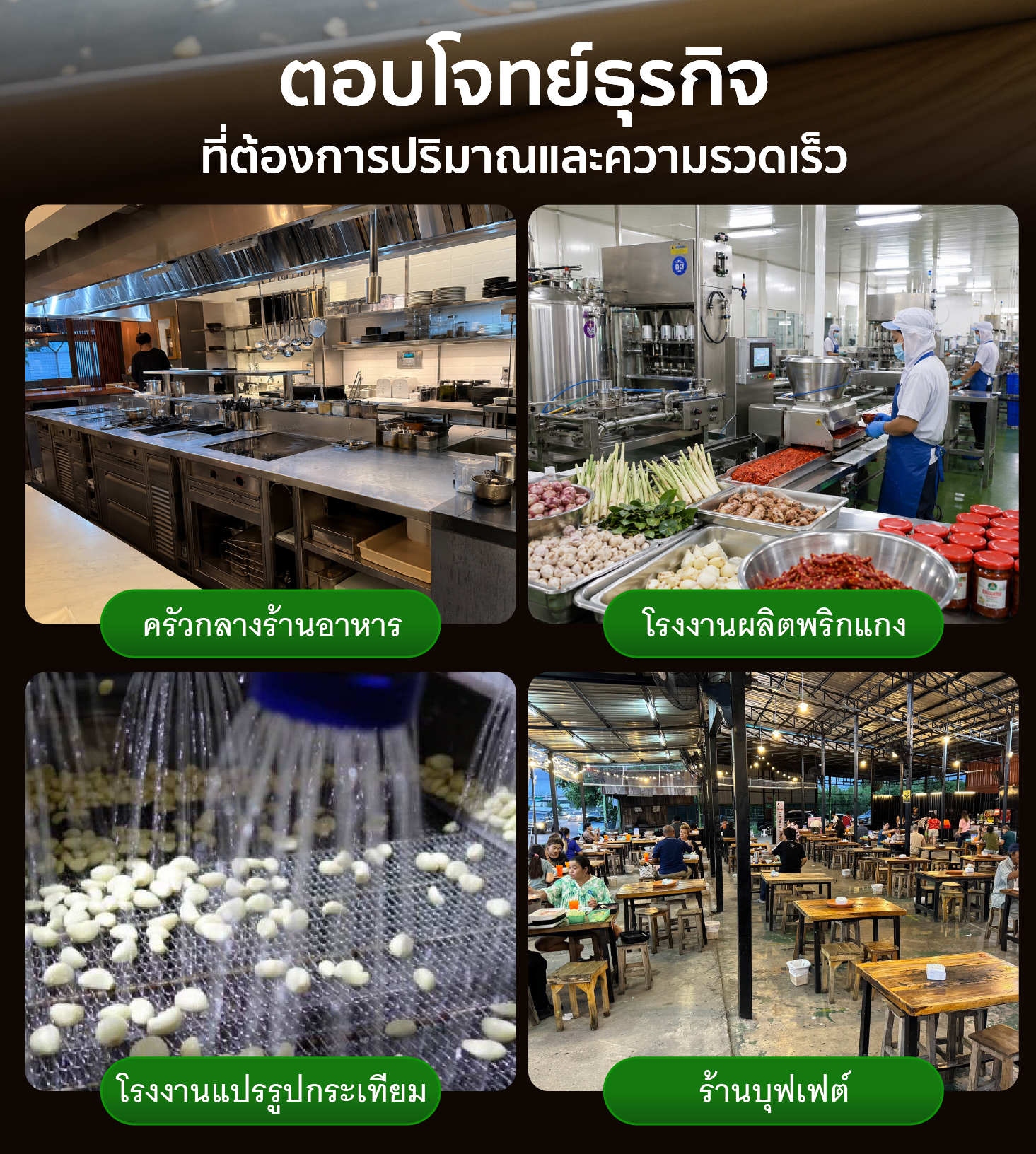 เครื่องปอกกระเทียม เครื่องแกะกระเทียม ปอกกลีบกระเทียม กำลังผลิต 25 กก./ชม. สามารถปอกได้ทั้งกระเทียมไทยและจีน SGE