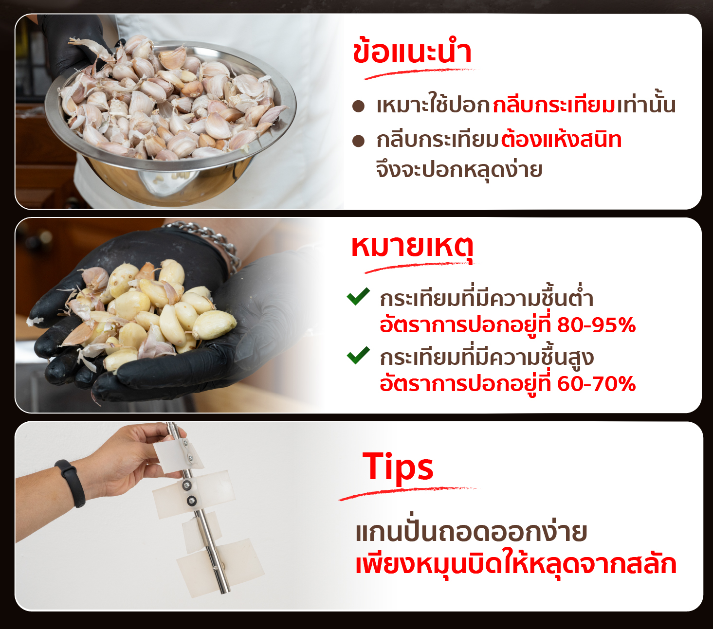 เครื่องปอกกระเทียม เครื่องแกะกระเทียม ปอกกลีบกระเทียม กำลังผลิต 25 กก./ชม. สามารถปอกได้ทั้งกระเทียมไทยและจีน SGE