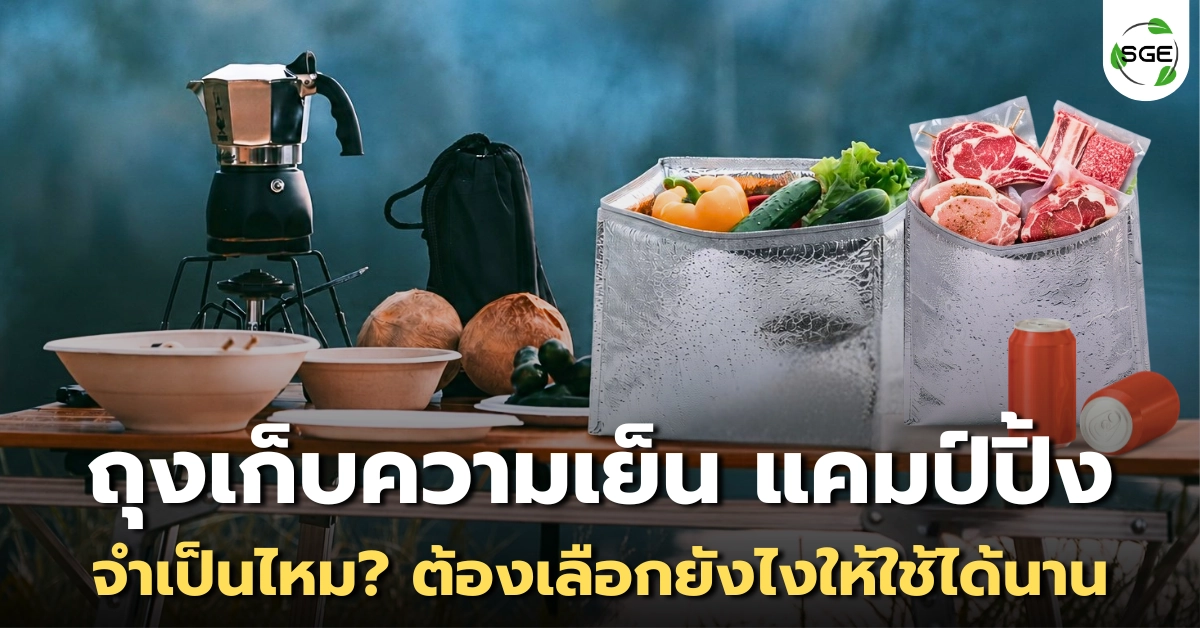 ถุงเก็บความเย็น จำเป็นไหมสำหรับสายแคมป์ ถุงเก็บความเย็น จำเป็นไหมสำหรับสายแคมป์