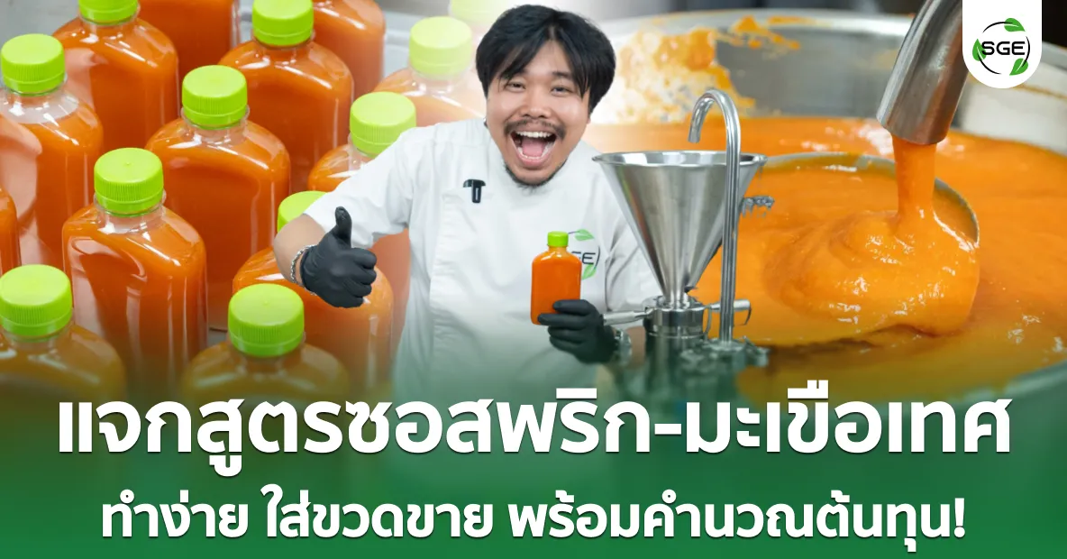 แจกสูตร “ซอสพริก - ซอสมะเขือเทศ” โฮมเมด ทำง่าย ใส่ขวดขายคำนวณต้นทุนให้ครบ กำไรปัง!