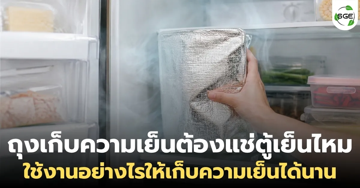 ถุงเก็บความเย็น ต้องแช่ตู้เย็นไหม? ใช้งานอย่างไรให้เก็บความเย็นได้นาน