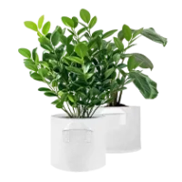 White Fabric Smart Pot
