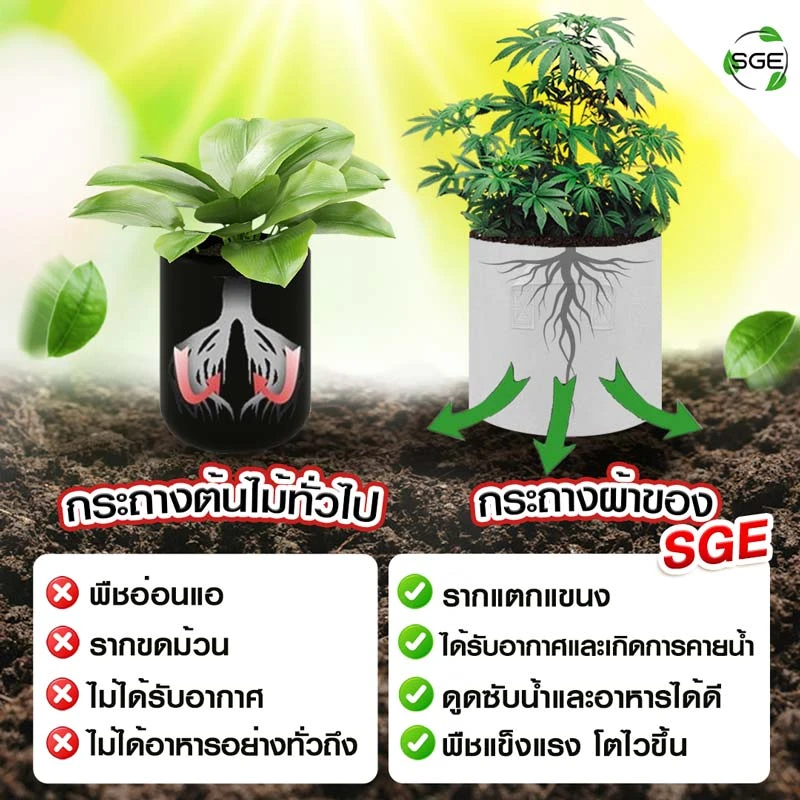 กระถางผ้าสีขาว smart pot
