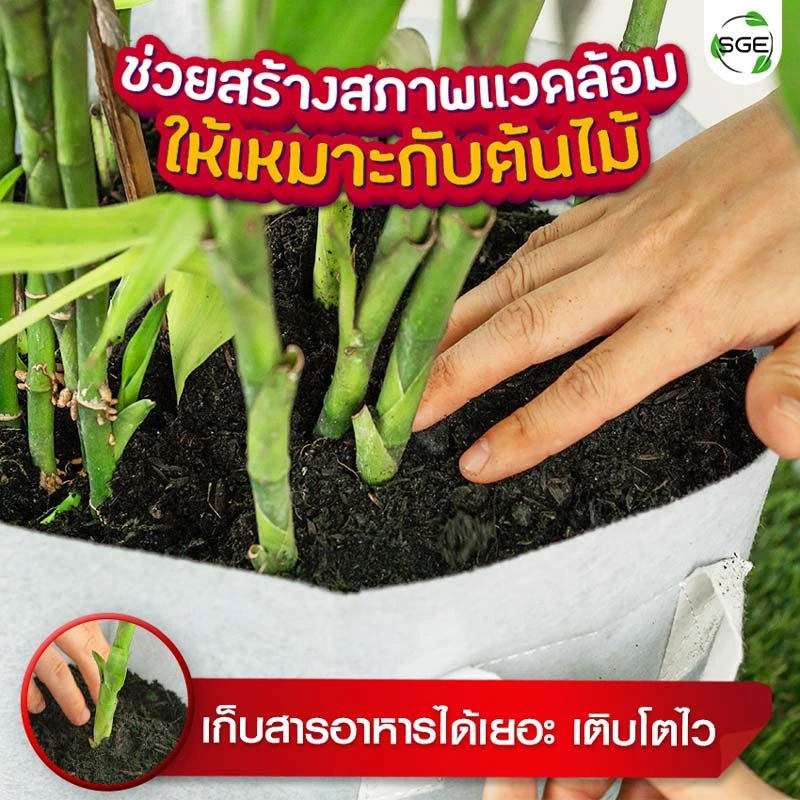 กระถางผ้าสีขาว smart pot