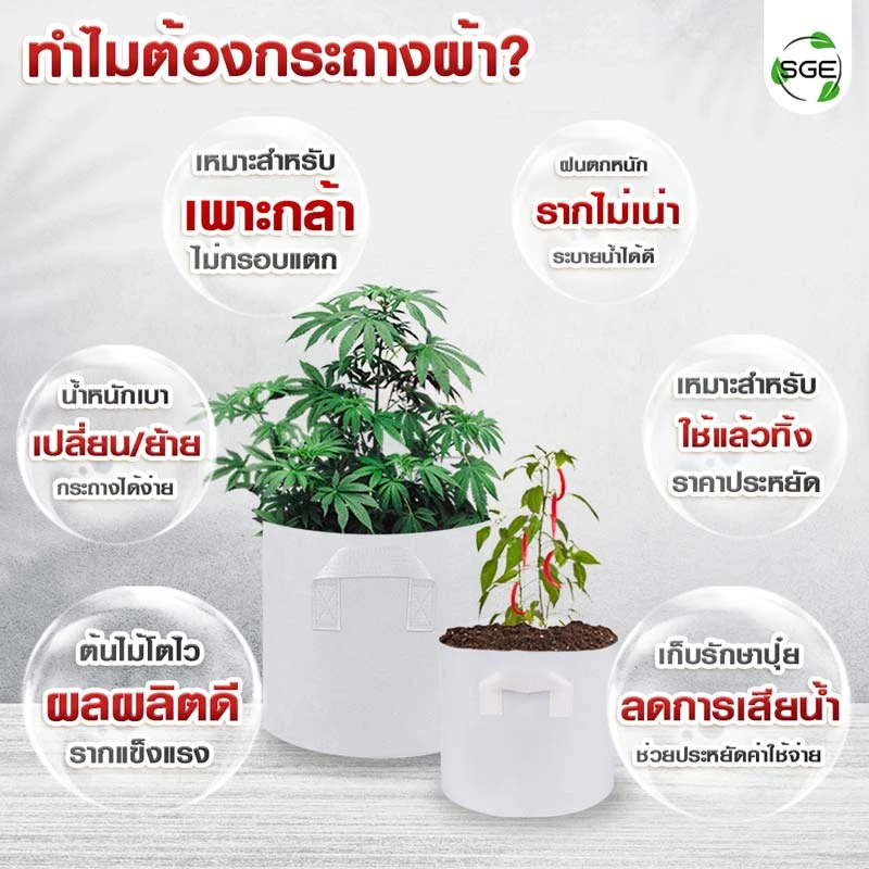 กระถางผ้าสีขาว smart pot