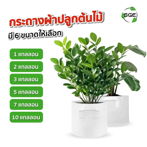 กระถางผ้าสีขาว กระถางผ้าปลูกต้นไม้ ถุงปลูกต้นไม้ รุ่น GBW ระบายน้ำได้ดีรากไม่เน่า