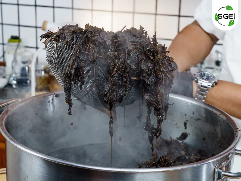 18092026-grass-jelly-with-fresh-milk-shop-07 ต้มหญ้าเฉาก๊วยในหม้อ