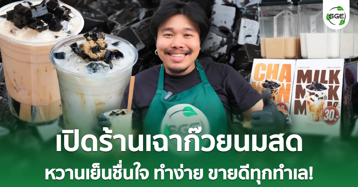 18092026-grass-jelly-with-fresh-milk-shop-cover ไอเดียธุรกิจ “เปิดร้านเฉาก๊วยนมสด” เมนูคลายร้อนยอดฮิต ลงทุนน้อย คืนทุนไว