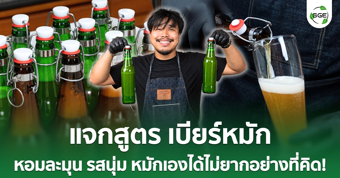 แจกสูตร เบียร์หมัก หอมละมุน รสนุ่ม หมักเองได้ไม่ยากอย่างที่คิด! แจกสูตร เบียร์หมัก หอมละมุน รสนุ่ม หมักเองได้ไม่ยากอย่างที่คิด!