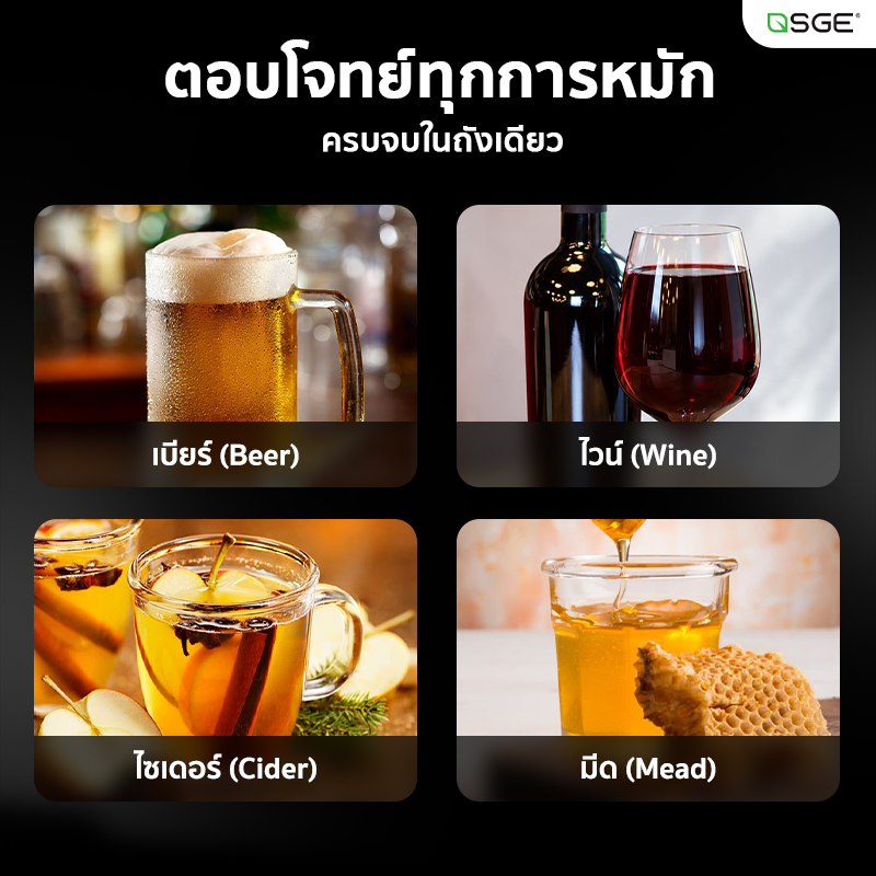 ถังหมักเบียร์ ถังหมักเบียร์สแตนเลส SUS304 ก้นทรงกรวย ความจุ 30 ลิตร สำหรับหมักเบียร์ ไวน์ ไซเดอร์