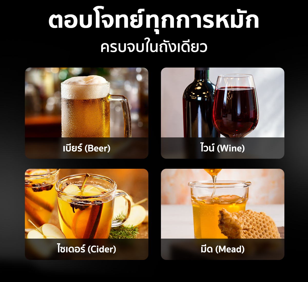 ถังหมักเบียร์ ถังหมักเบียร์สแตนเลส ถังหมักเบียร์ ถังหมักเบียร์สแตนเลส SUS304 ก้นทรงกรวย ความจุ 30 ลิตร สำหรับหมักเบียร์ ไวน์ ไซเดอร์