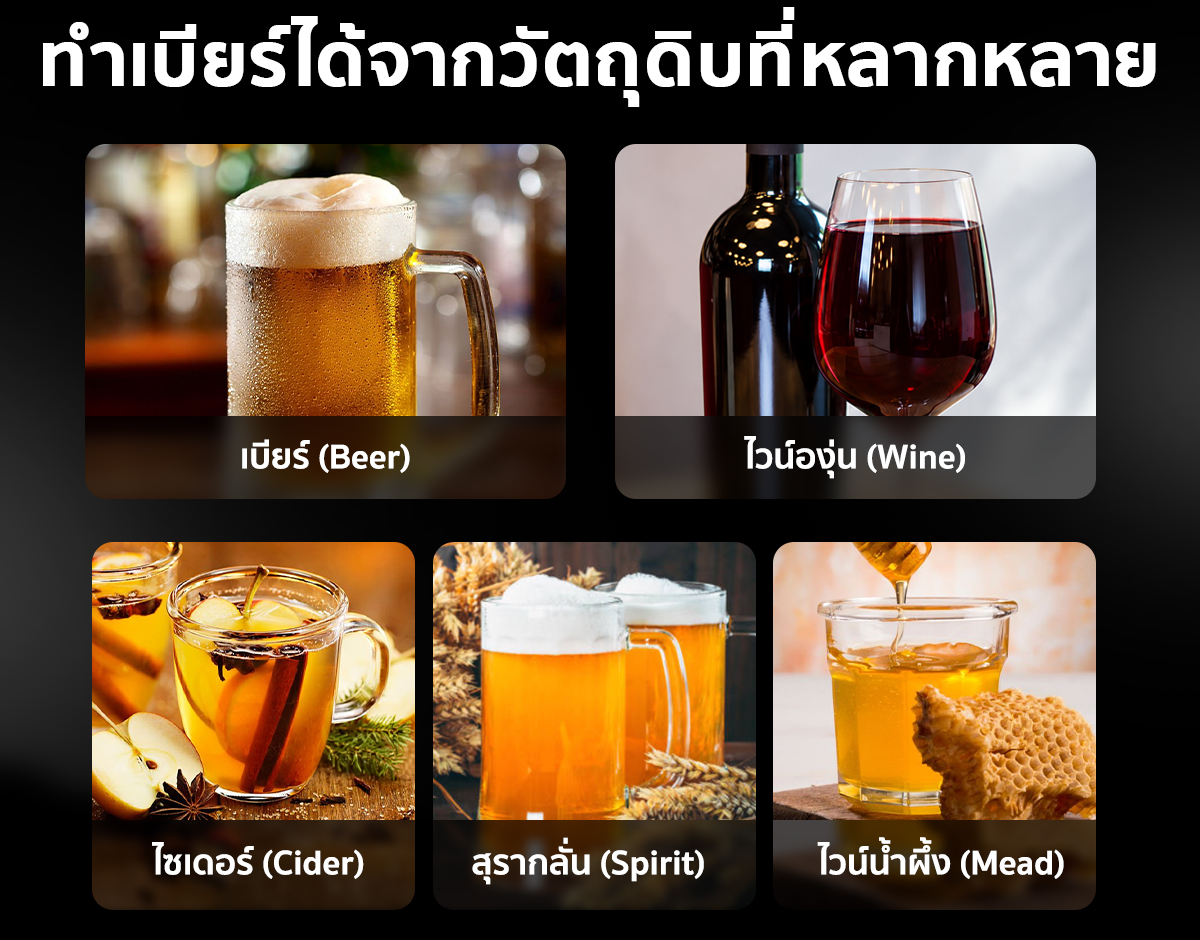 ชุดอุปกรณ์ทำเบียร์