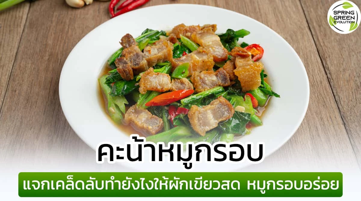 SGE034 คะน้าหมูกรอบ