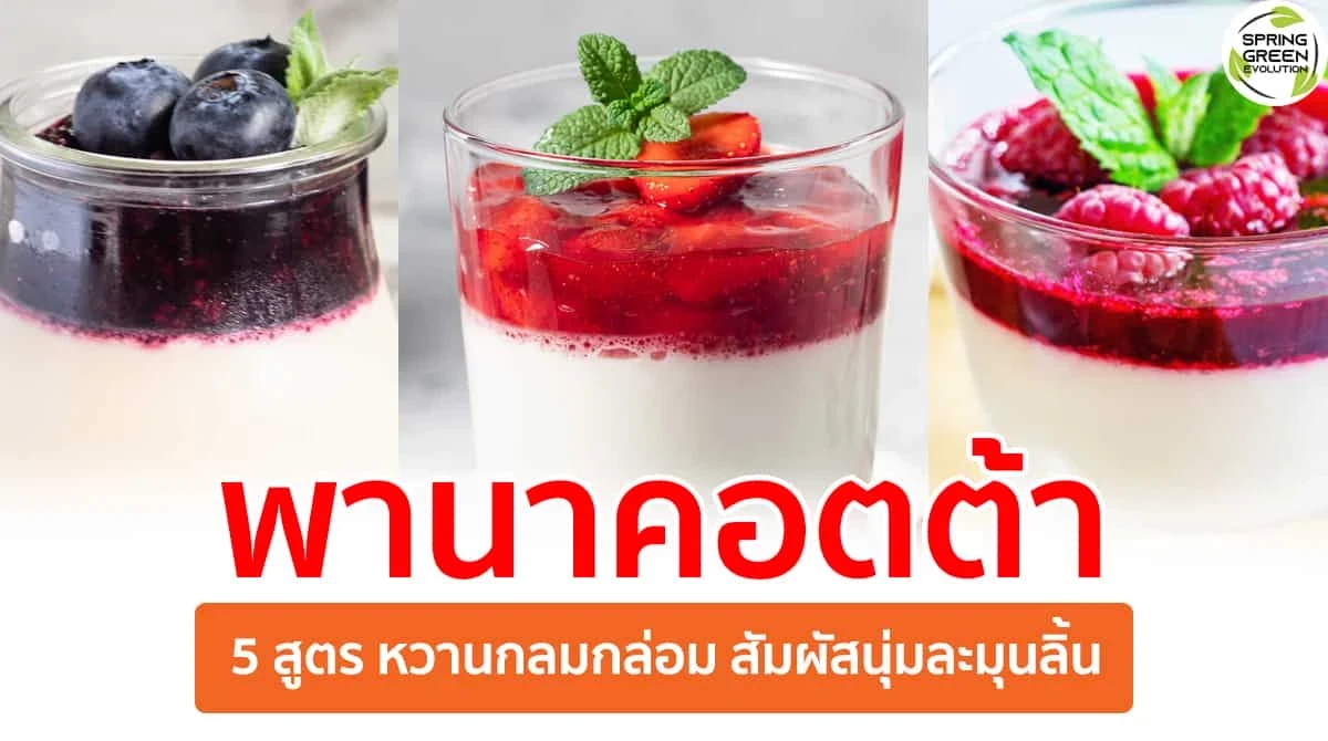 SGE075 พานาคอตต้า