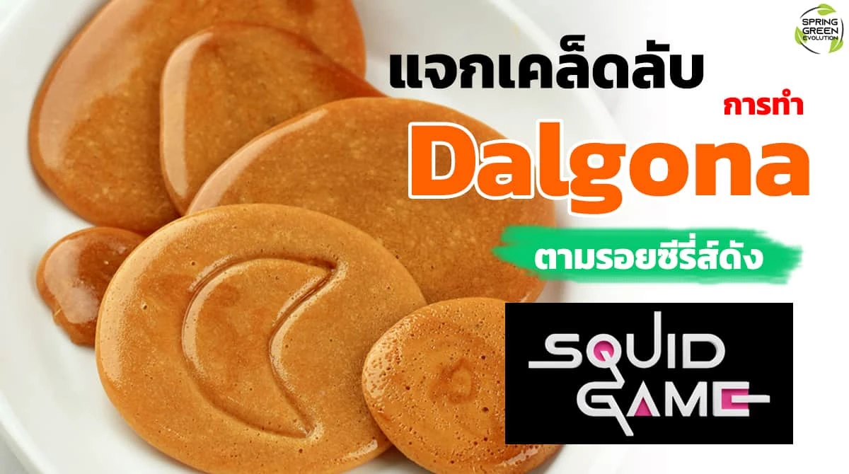 SGE091 Dalgona