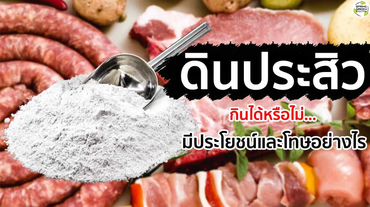 SGE103-1 ดินประสิว