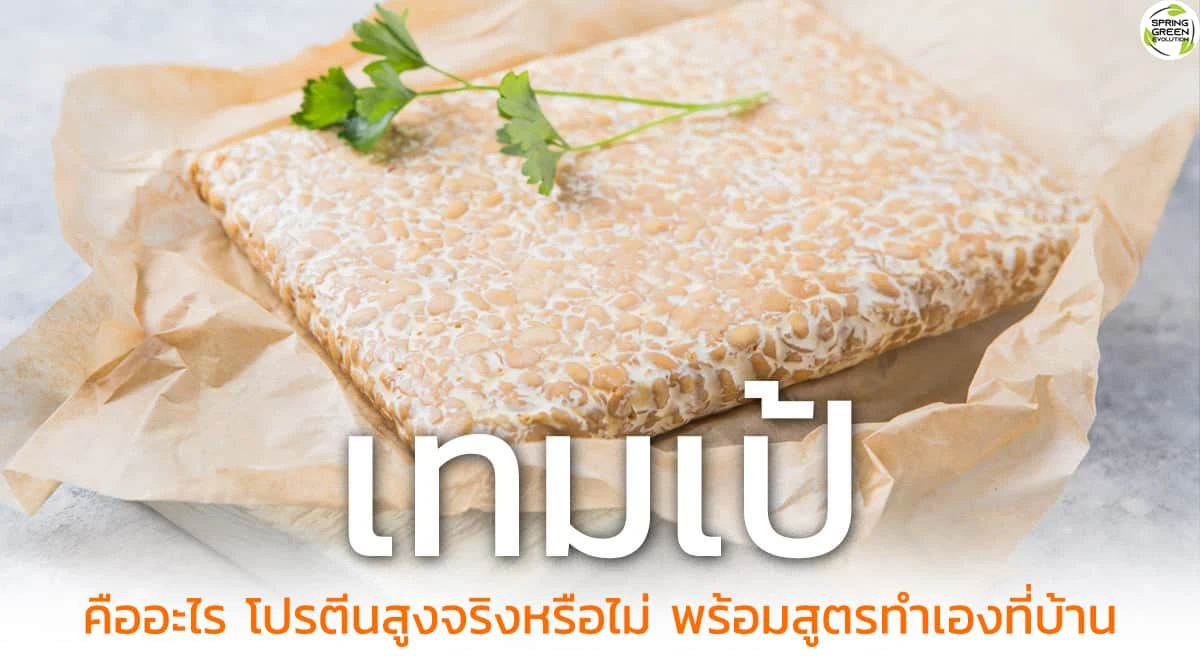 SGE117 เทมเป้