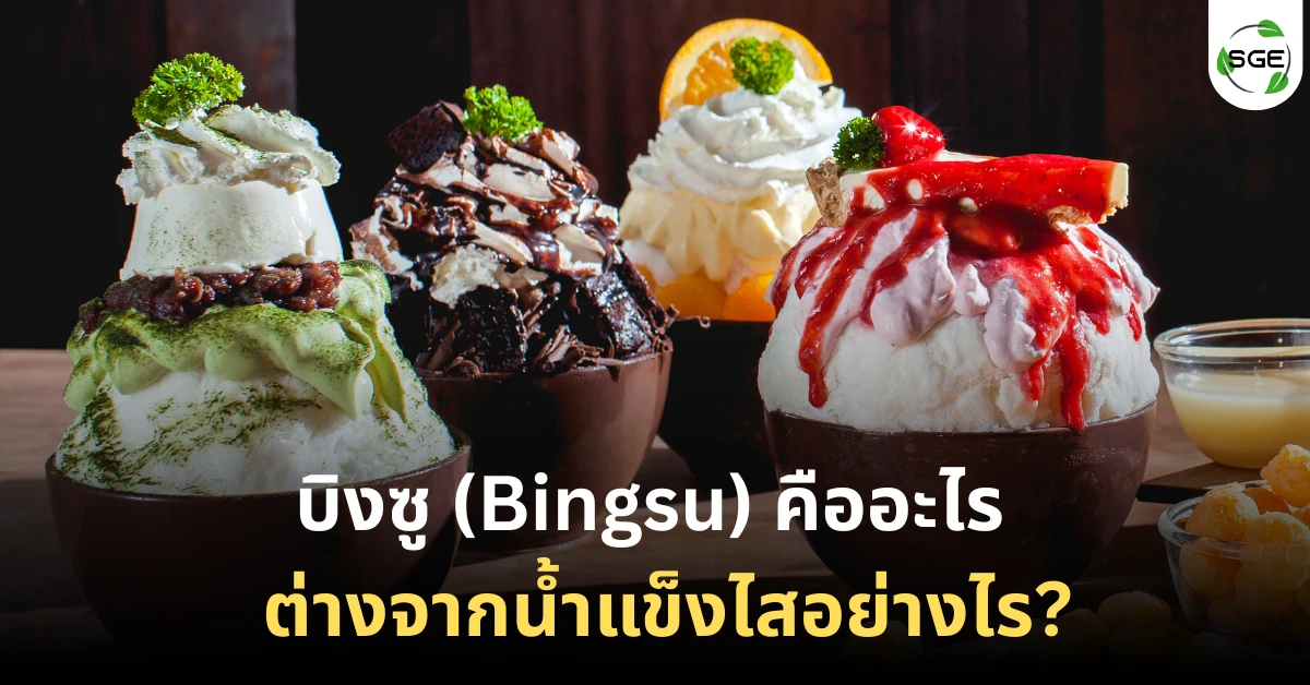 บิงซู (Bingsu) คืออะไร มีกี่แบบ ต่างจากน้ำแข็งไสอย่างไร?